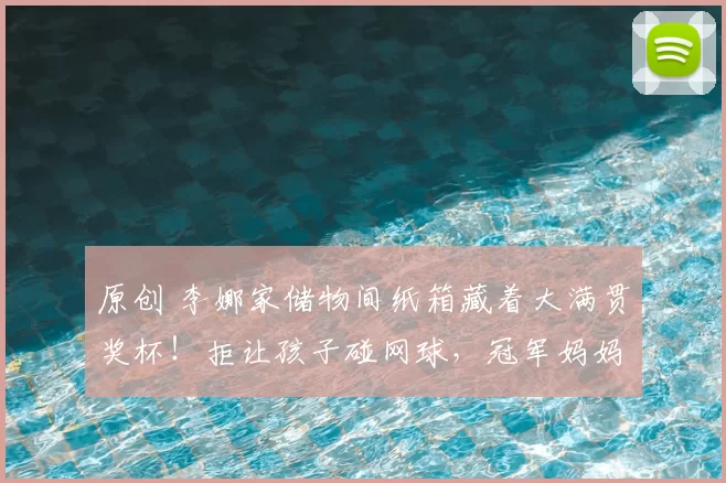 原创 李娜家储物间纸箱藏着大满贯奖杯！拒让孩子碰网球，冠军妈妈反向育儿