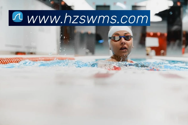 mksport体育官网入口发展历程